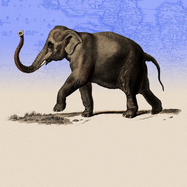 «Простыл и неделю лечился»: как слон полгода путешествовал по Российской Империи