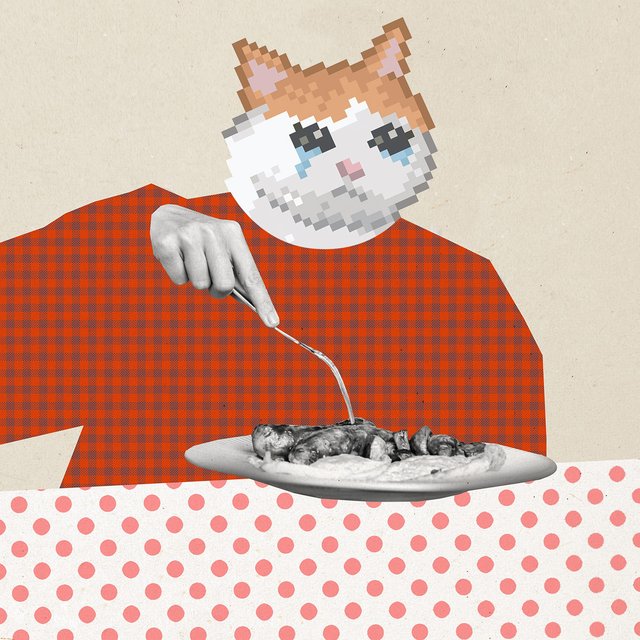 Ребенок не ест в школе. Просят написать заявление об отказе от питания. Зачем?