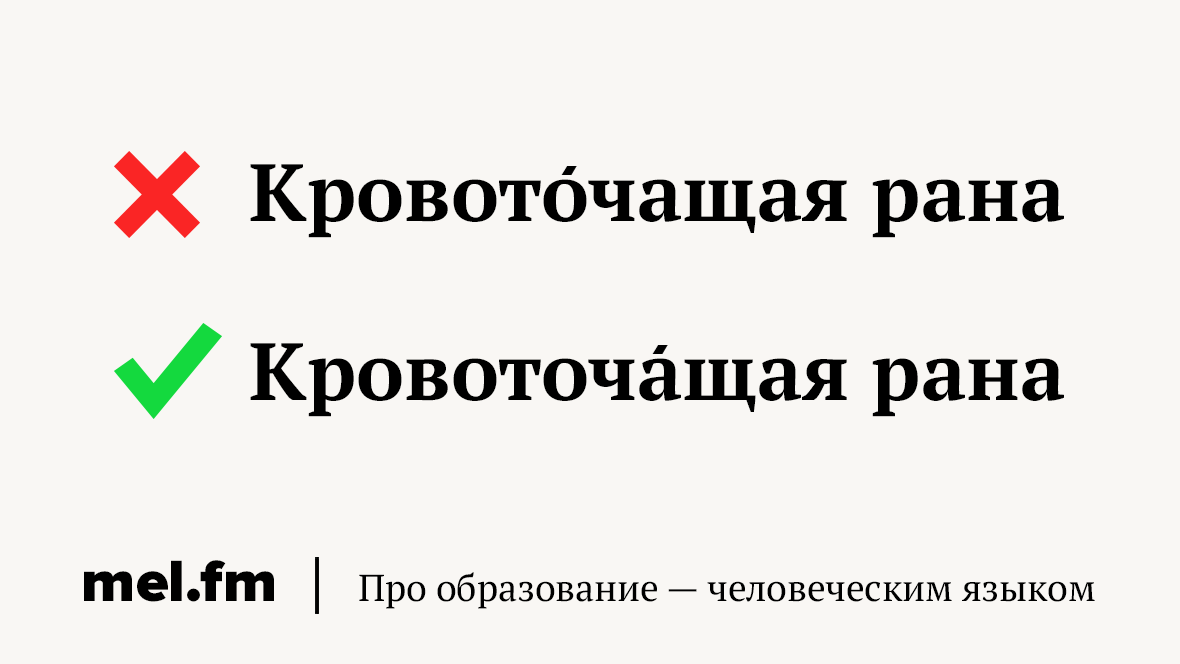 Кровоточащий ударение. 11 Слов с одной и двумя н которые мы не можем запомнить со школы. Рана кровоточит ударение. Кровоточит или кровоточит ударение.