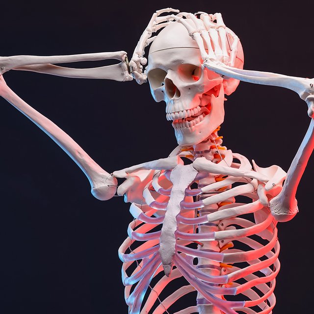 Почему за 18 задание в ОГЭ по биологии школьникам из Москвы аннулировали баллы?