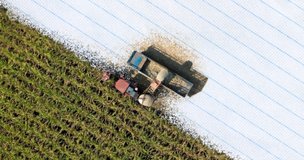 Как устроены студотряды в России и что важно знать студентам до поездки на «целину»