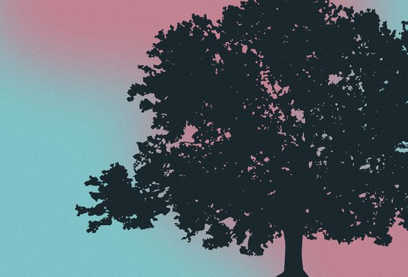 7 вопросов о том, как читать «Войну и мир»: исторические ляпы в романе и лайфхаки, как увлечь им школьников