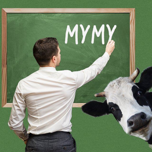 «До 15 лет я пас коров». Как парень из деревни случайно стал учителем — и в этом году отметил 10 лет работы