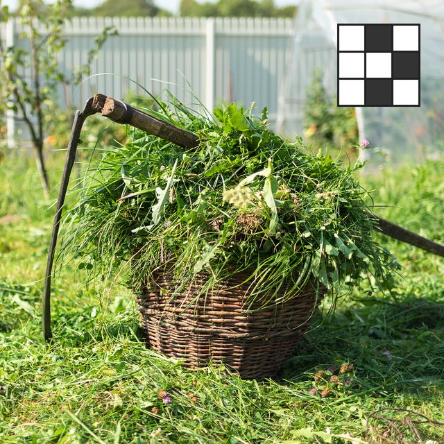 Предок газонокосилки — это что? Простой кроссворд для дачников