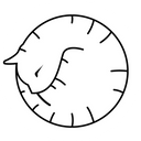 Фото пользователя