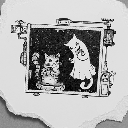 Кот Шрёдингера и парадокс близнецов. Семь интеллектуальных мемов, которые сделают вас в разы умнее