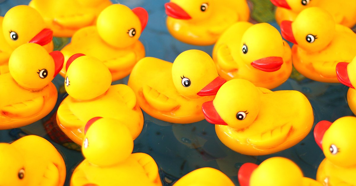 28,000 toys washed overboard: like bath ducks have been swimming in the ocean for 30 years and helping scientists