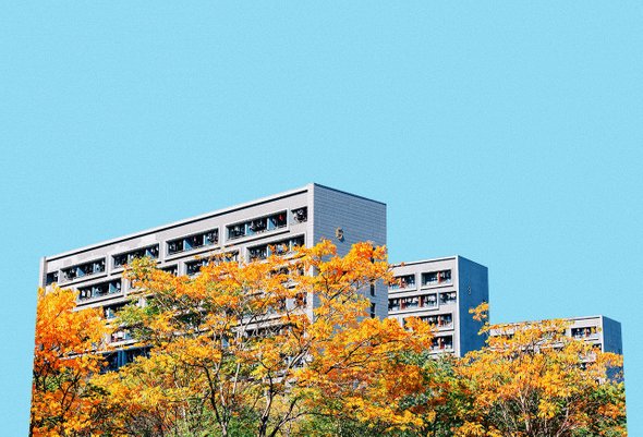 10 советов, которые помогут выжить в общаге: проверено студентами