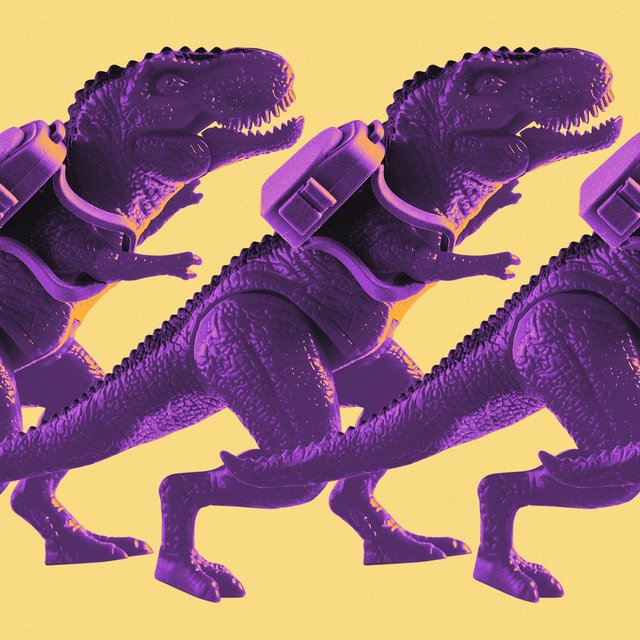 Нужен ли в российских школах 12-й класс: мнения учителей, депутатов и врачей