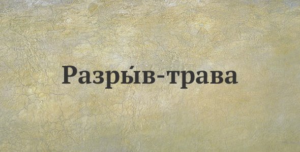 Разрыв-трава