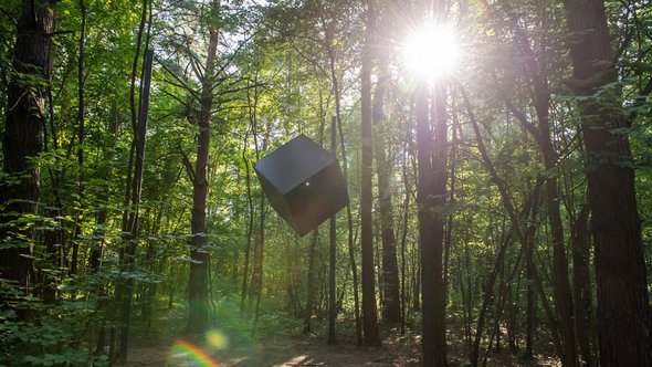 Парк Малевича, Куб в лесу, Искусство