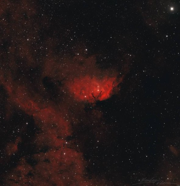 Туманность Тюльпан — облако светящегося водорода в созвездии Лебедя
