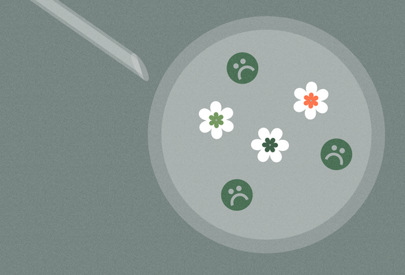 13 мифов о бесплодии и ЭКО, которые пора забыть