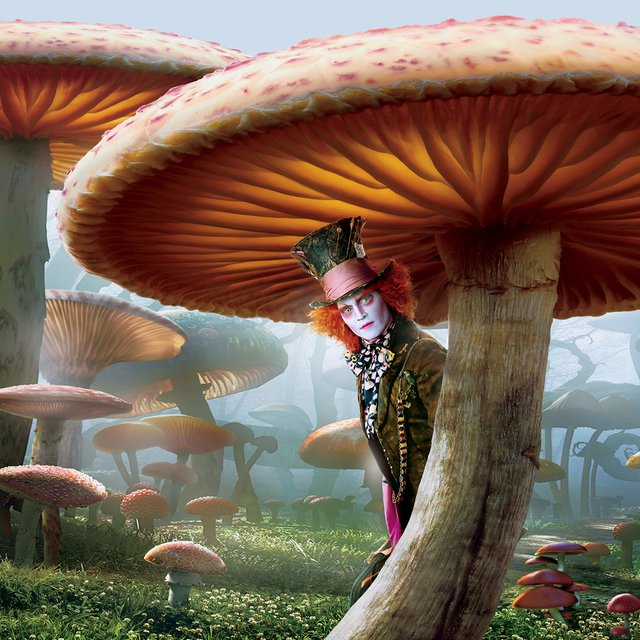 Биодобавки с грибами: правда ли они полезны и в каком случае могут быть опасными