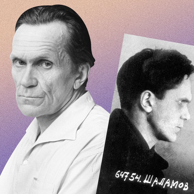 «Ваш лагерь без вшей!». За что Шаламов ругал Солженицына: 5 фактов об авторе «Колымских рассказов»