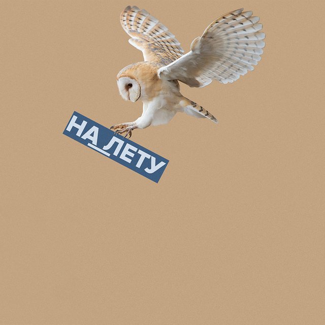 «Схватывает налету» или «на лету»: как писать правильно