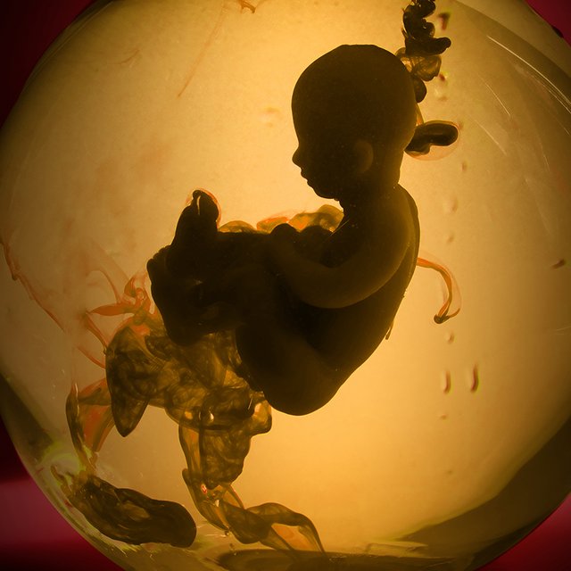 Правда ли, что дети писают и какают прямо в утробе матери