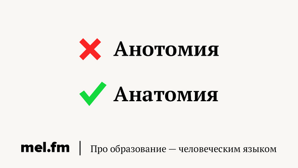 Анотомия