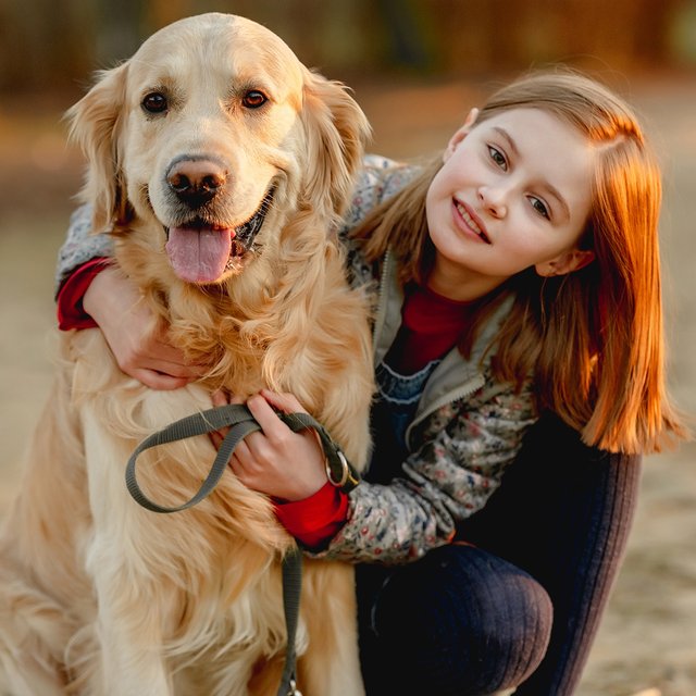 Может ли собака (или кошка) научить ответственности — и ещё 6 вопросов о детях и домашних животных