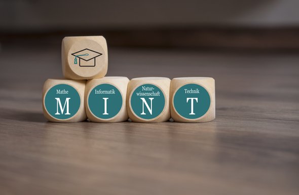 Mathematik. Informatik. Naturwissenschaften. Technik.