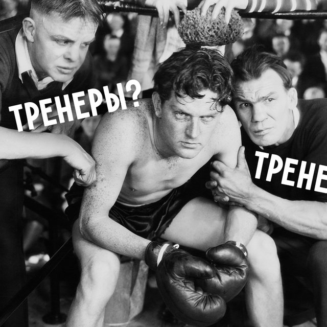 «Тренеры» или «тренера»? Коварный тест по словам во множественном числе