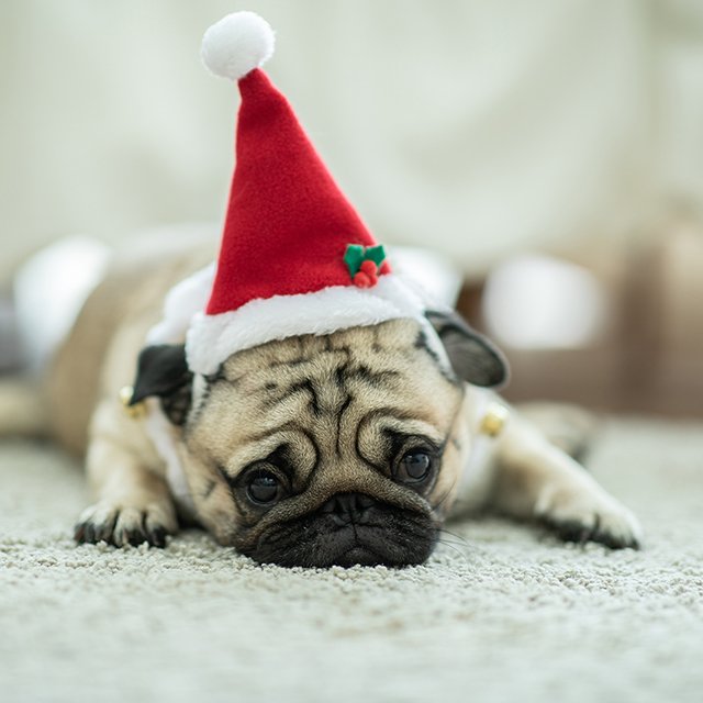 Родители, идите уже отдыхать! Как не превратить Новый год в страшное испытание