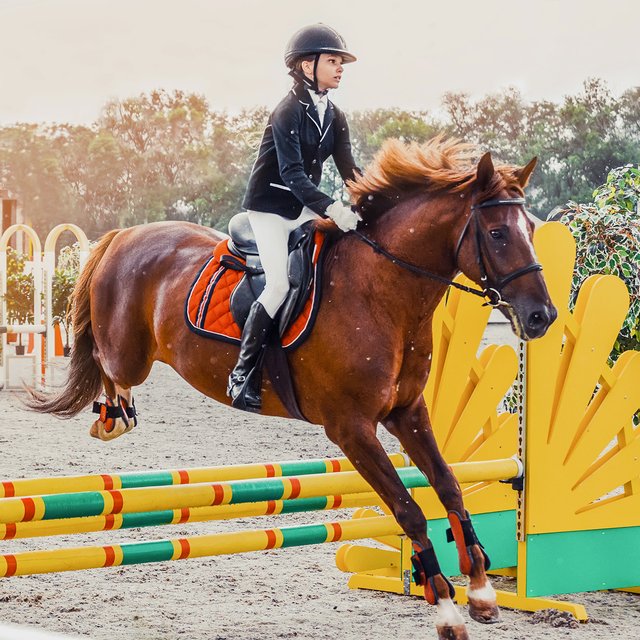 Хлыст под лопатками и работа на конюшне. Как устроен конный спорт и зачем он нужен ребёнку