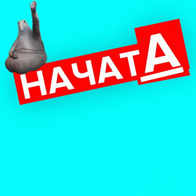 «НачатА» или «нАчата»: как говорить правильно