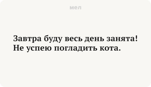 Завтра буду весь день занята! Не успею погладить кота