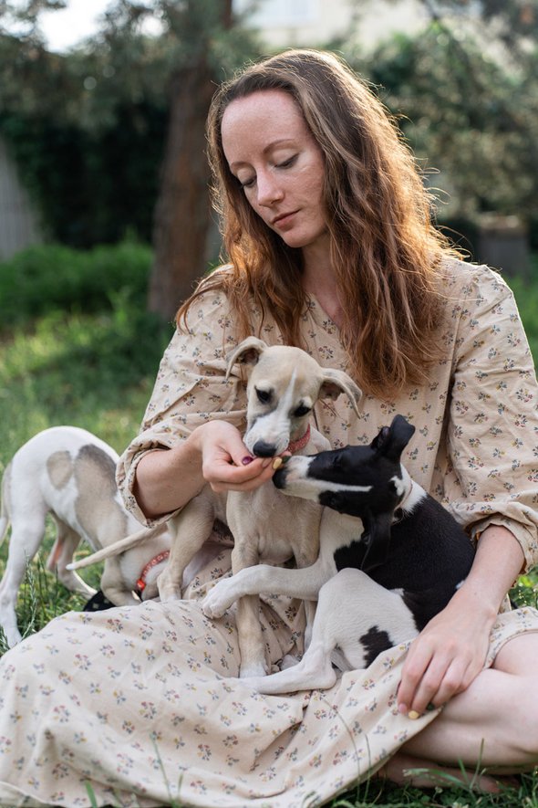 Что важно знать о собаках как о виде, Какие бывают породные особенности