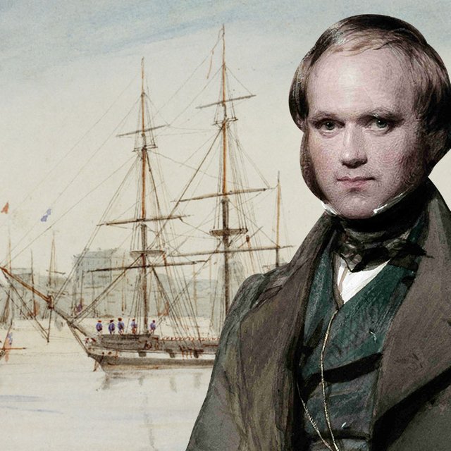 И поселил в каюте осьминога. История кругосветки Чарльза Дарвина, натуралиста без оплаты