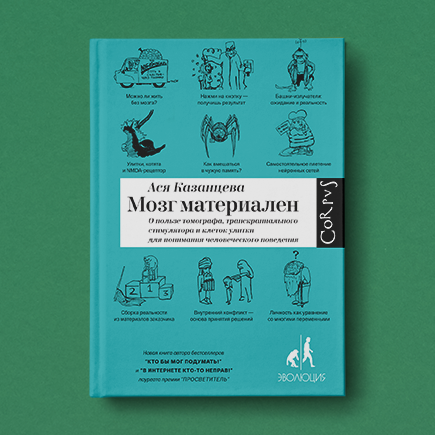 Почему вечером учиться гораздо эффективнее, чем утром