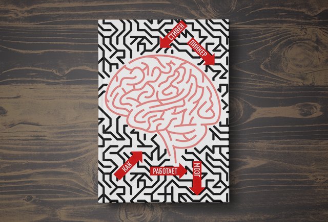 Теория конфликта: как и за что дети соперничают с родителями (и между собой)