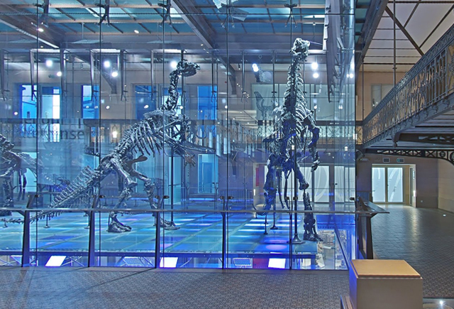 Обложка Google запустил онлайн-экскурсии по 50 музеям мира