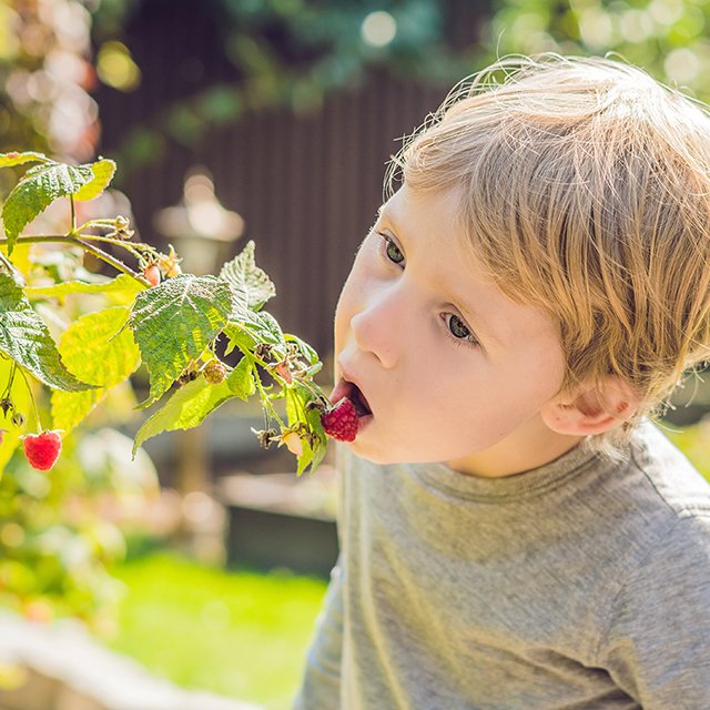 Можно ли есть немытые ягоды и купаться в грязном озере. Отвечает педиатр