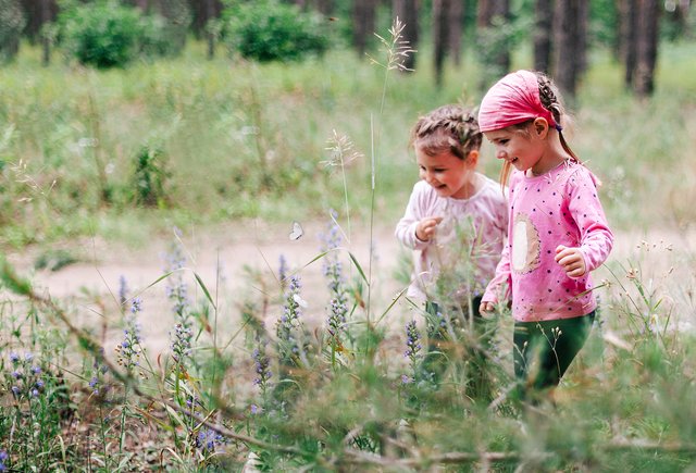 Выходные без игрушек и гаджетов: как заинтересовать ребёнка природой
