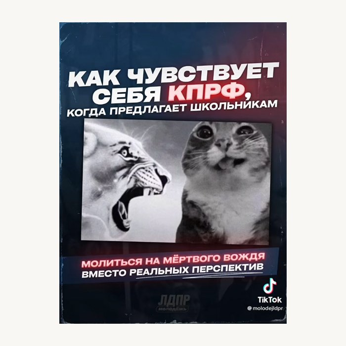 Выборы в Государственную думу (2026). TikTok