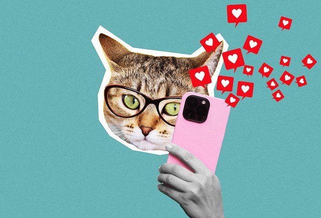 Стоит ли подписываться на учеников в соцсетях и что делать с конфликтами в семье