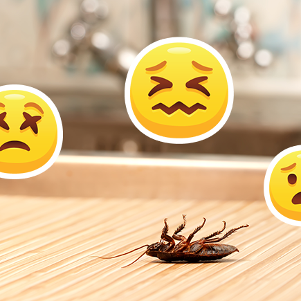7 неприятных вещей в доме, которые по-настоящему опасны для здоровья