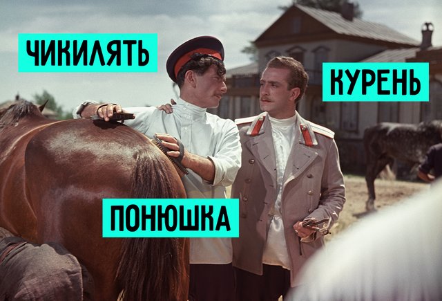 15 непонятных слов из «Тихого Дона» Шолохова: дратва, кутница и прочие жалмерки