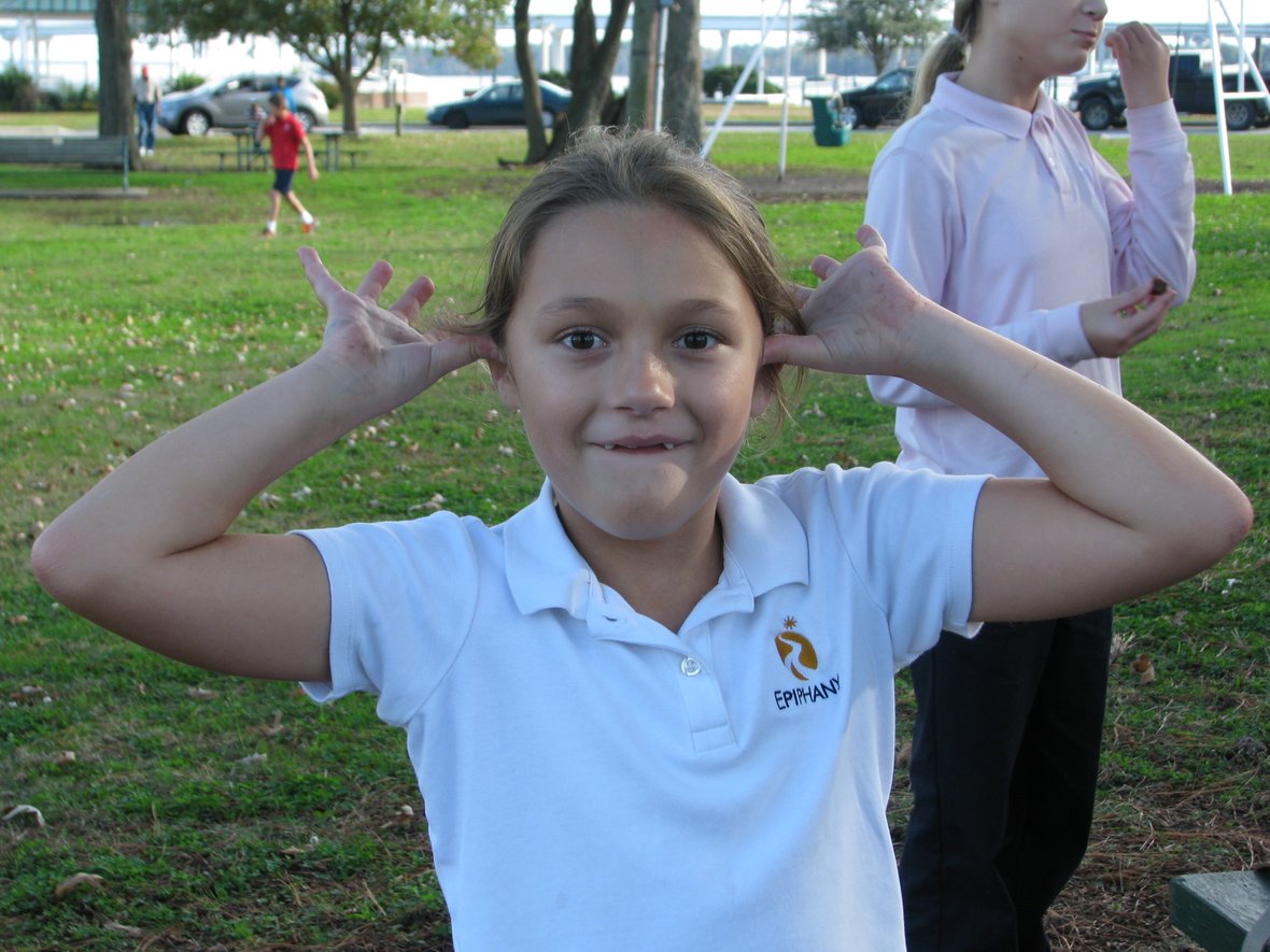 Баскетбол, тусовки и, конечно, фастфуд: как учатся и живут американские  школьники | Мел