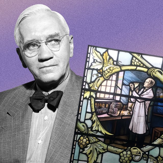 Пенициллин был открыт случайно: 5 фактов об учёном Александре Флеминге