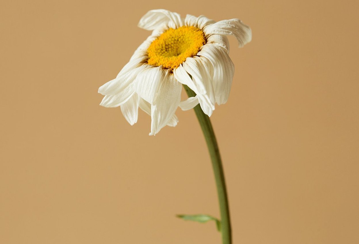 Как отличить лень от перегрузки и почему это важно сделать прямо сейчас