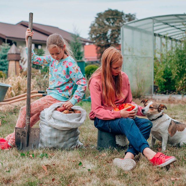 Дед с вилами или подросток в поисках Wi-Fi? Тест: какой вы дачник