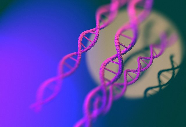 Генетические тесты: как они работают и стоит ли тратить на них деньги