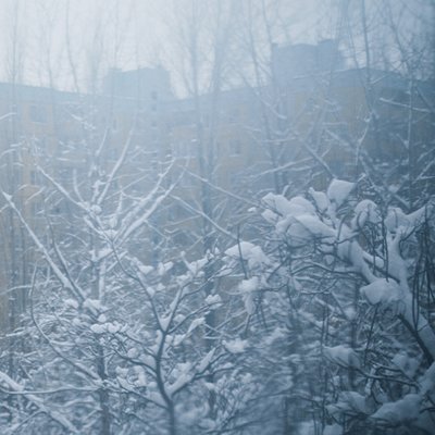 "Еще один год – и я уйду. Надоело, больше нет никаких сил"