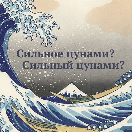 11 слов, в которых слишком часто путают мужской и женский род (средний тоже)