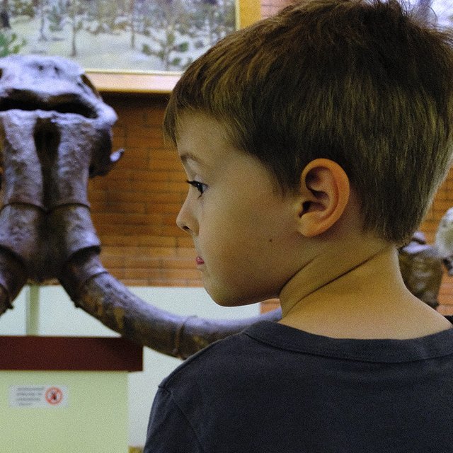 «А что я там забыл?» Почему наши дети не хотят ходить в музеи и как это исправить