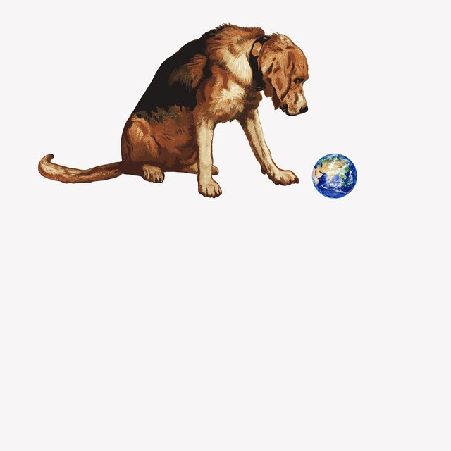 9 вещей, которые нужно учесть перед тем, как завести собаку