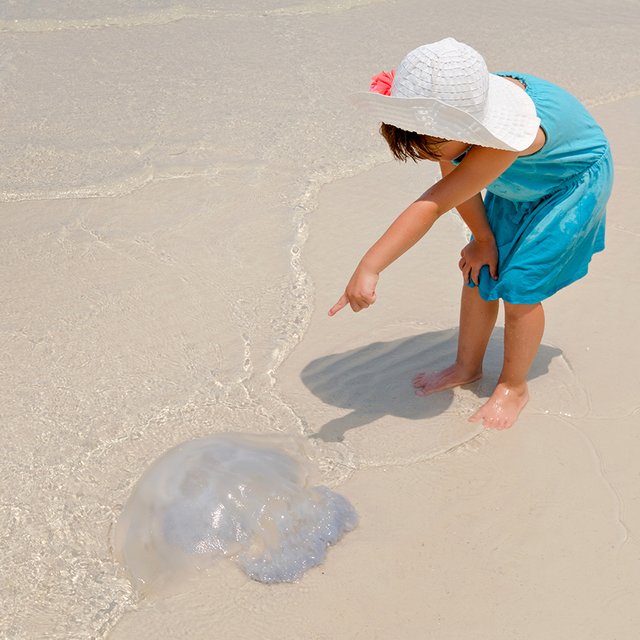 Что делать, если ребёнка на пляже ужалила медуза?